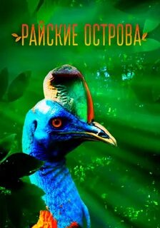 Остров райский переполох