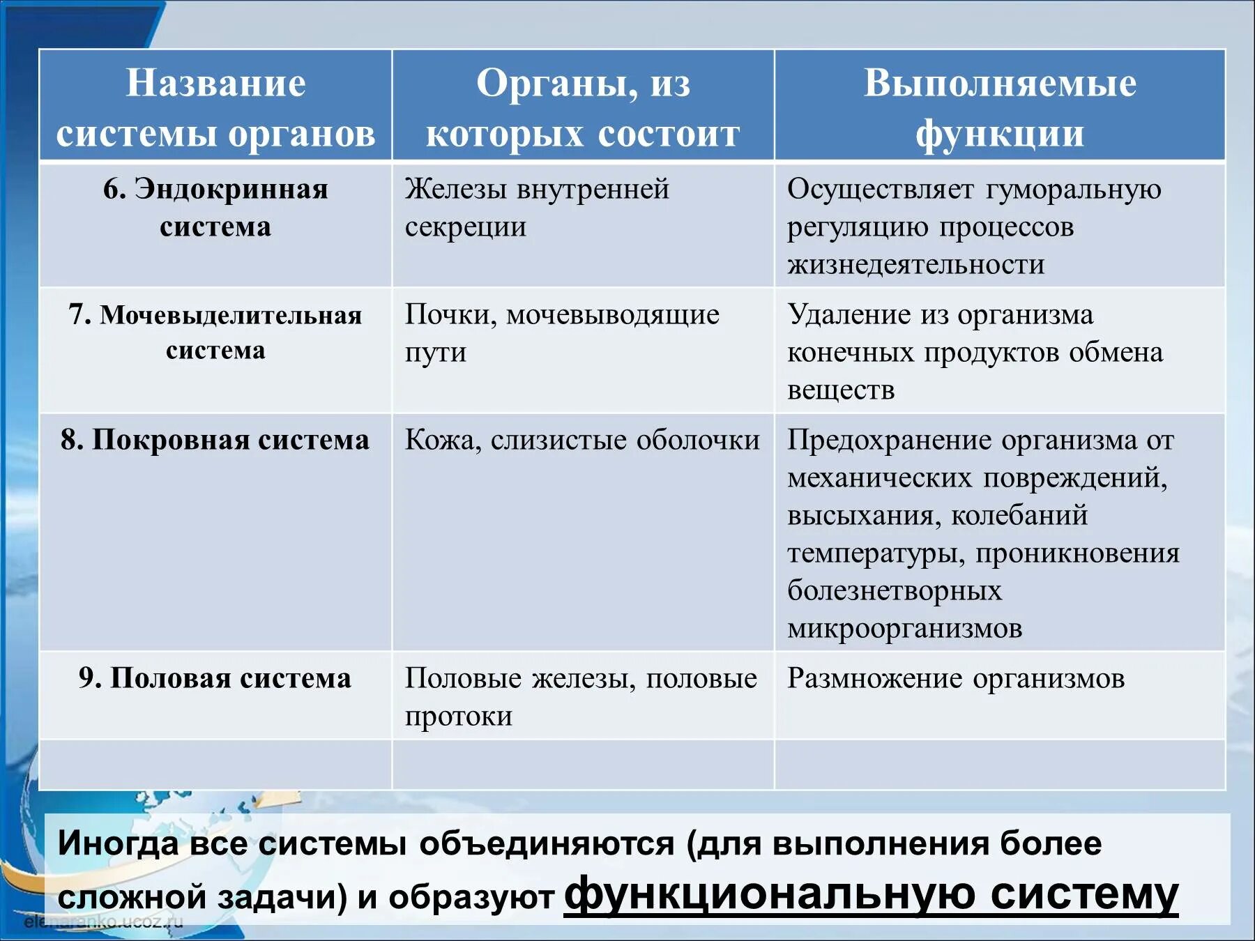 Таблица название системы органов органы функции. Таблица по биологии 8 класс система органов органы функции таблица. Система органов из каких органов состоит функции таблица 8 класс. Перечислите основные системы органов и их функции 8 класс. Системы органов человека состав и функции