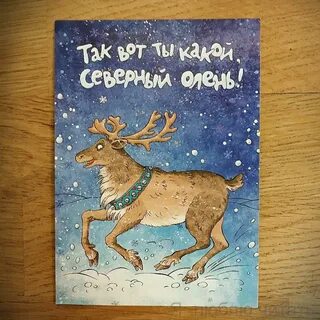 Какой северный