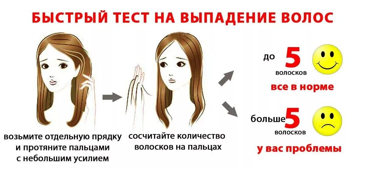 Среднее количество волос на голове. Среднее количество волос на голове. Среднее количество волос на голове. Продолжительность жизни волоса. Срок жизни волоса на голове.