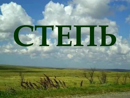 Степь урок 4 класс презентация