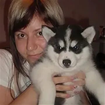 Анастасия Каньшина, 14.03 - проживание, увлечения, образование - ВКонтакте
