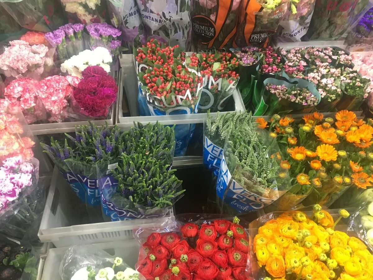 Рижский рынок. Цветочная база Рижский рынок. Георгины Рижский рынок. Рижский рынок Нобилис. Рижский рынок кустовые розы.