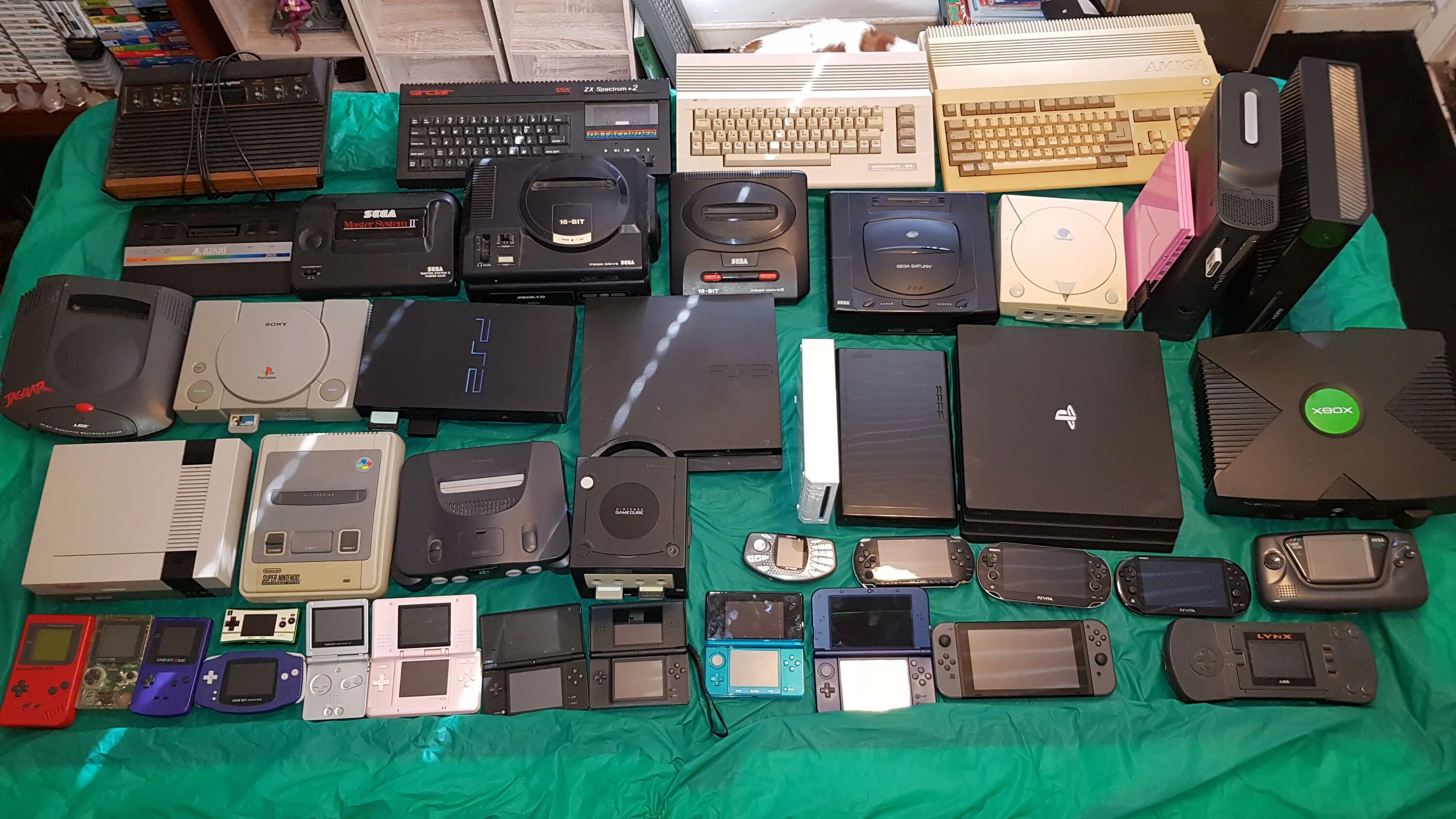 My console store