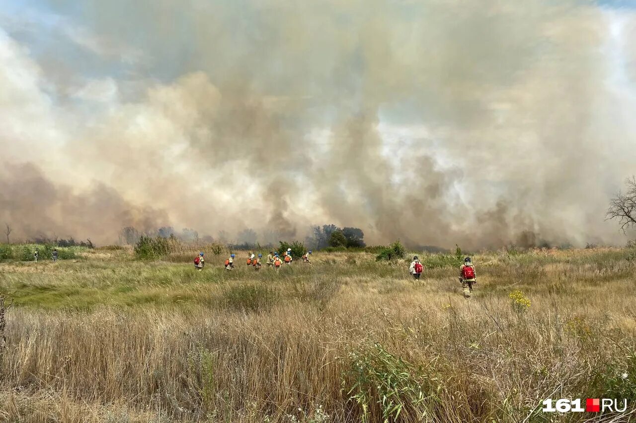 куда идет пожар. лесные пожары. пожар в усть донецком районе 2022. лесной пожар ростовская область. пожар фото.
