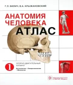 Атлас анатомия человека том 1 билич