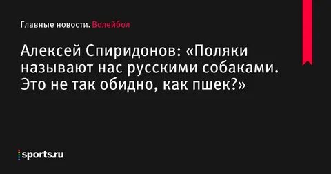 Почему поляки не любят