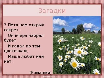 На лугу ответить на вопросы