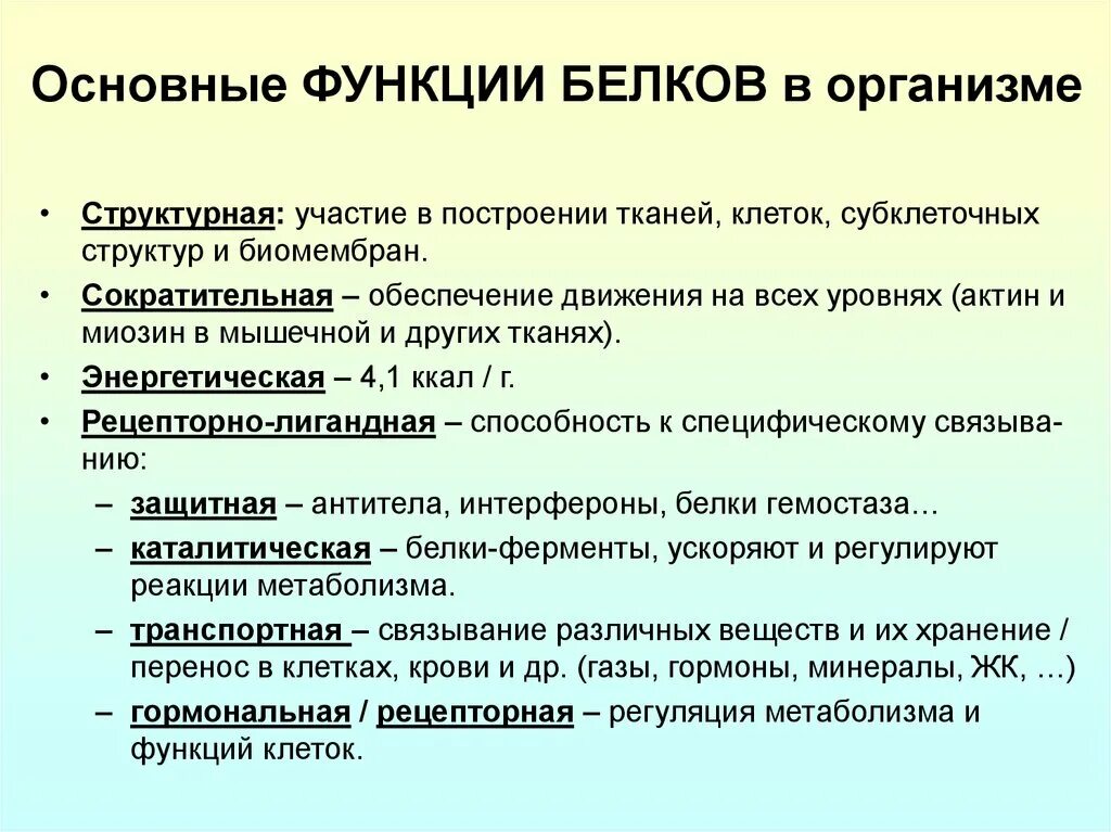 Биологическая роль белков в организме. Функции белков в организме. Основные функции белков. Функции белков в организме человека. Важнейшие функции белков в организме.