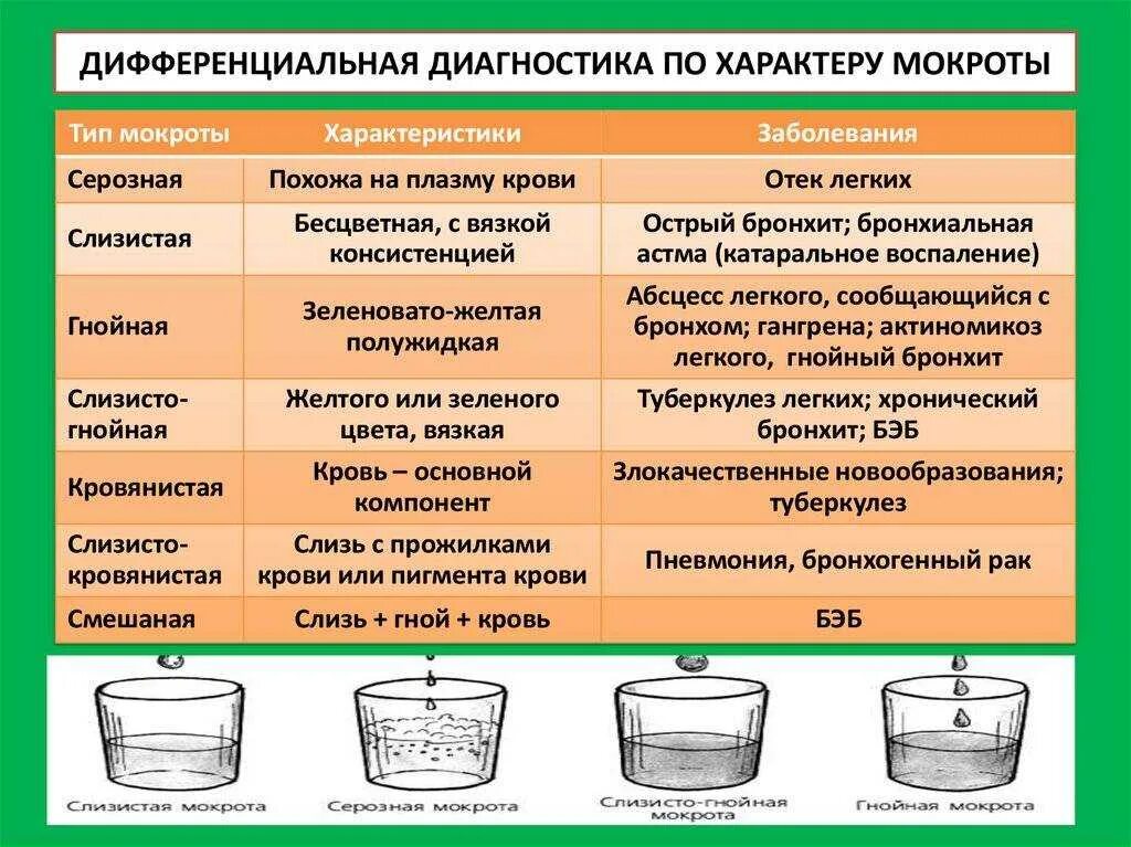 Анализы мокроты виды. Типы мокроты по цвету.