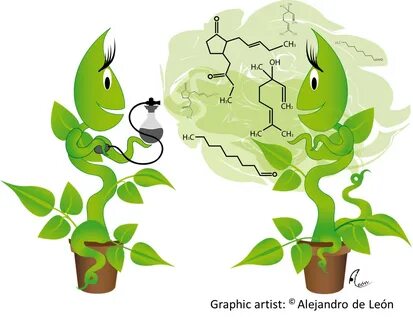 Plant biology