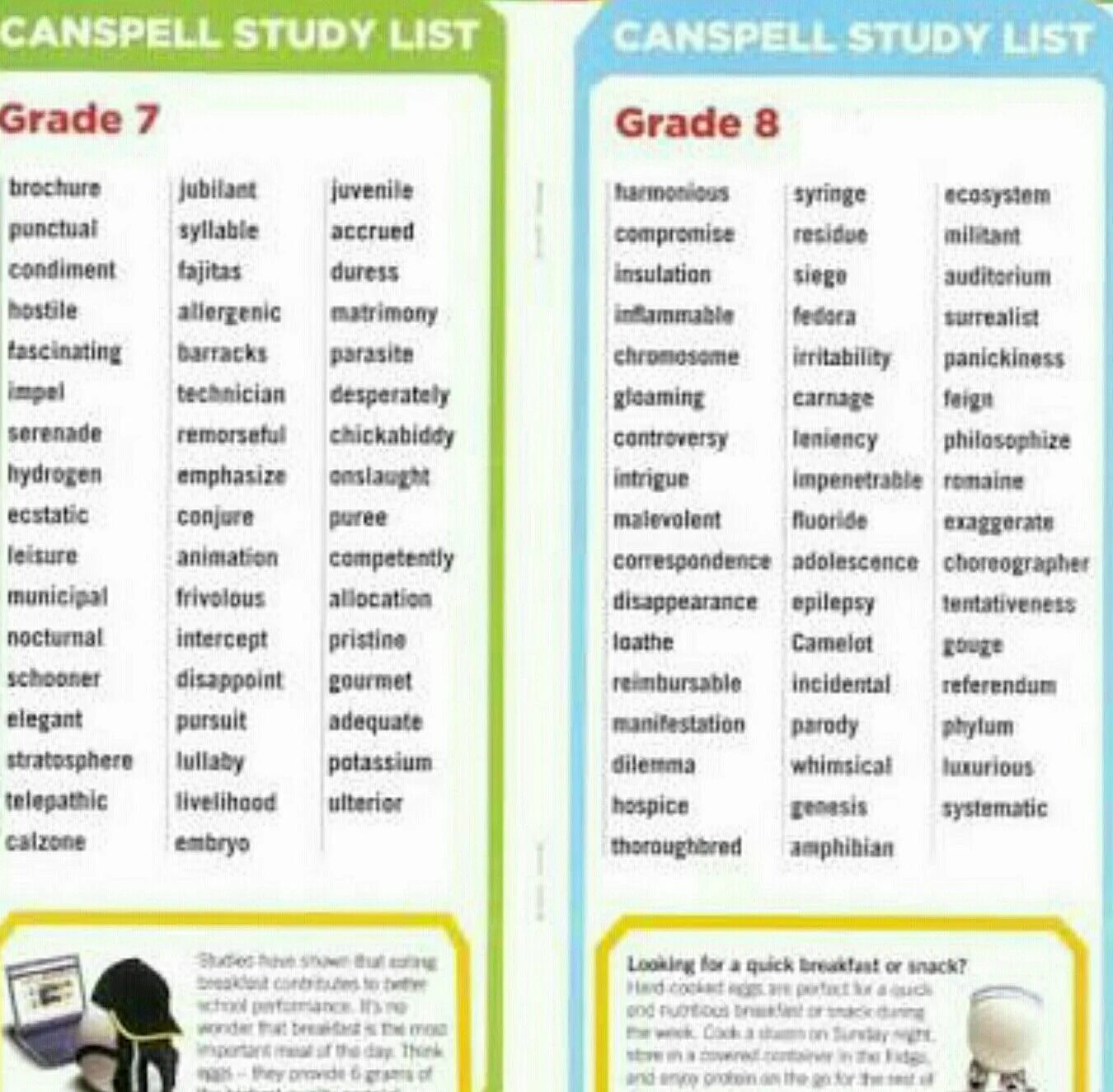 Spelling Bee Words list. School Words list. Spelling Bee Words Grade 8. Grades list.