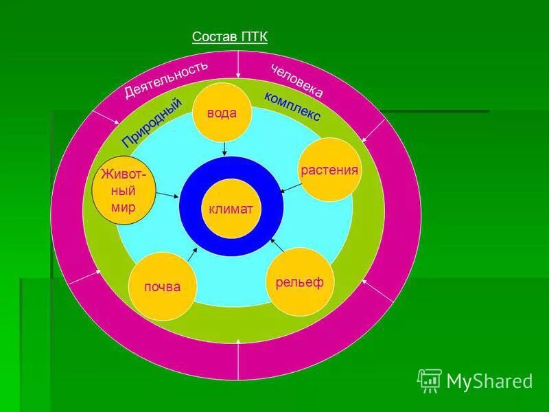 описание птк. в состав птк входят. птк. птк программно технический комплекс. птк природно территориальный комплекс.