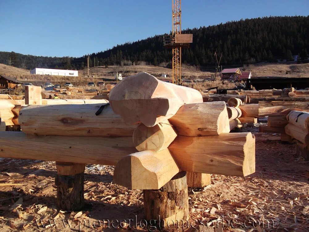 Custom log. Pioneer log home компенсаторы на колоннах. кампус с новым тренером пайонир.