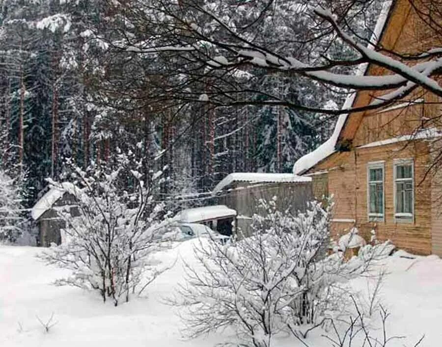 Сад зимой. Участок зимой. Лунный посевной календарь на декабрь. Огород зимой. Декабрь садовода.