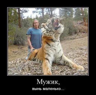 Достала мужика