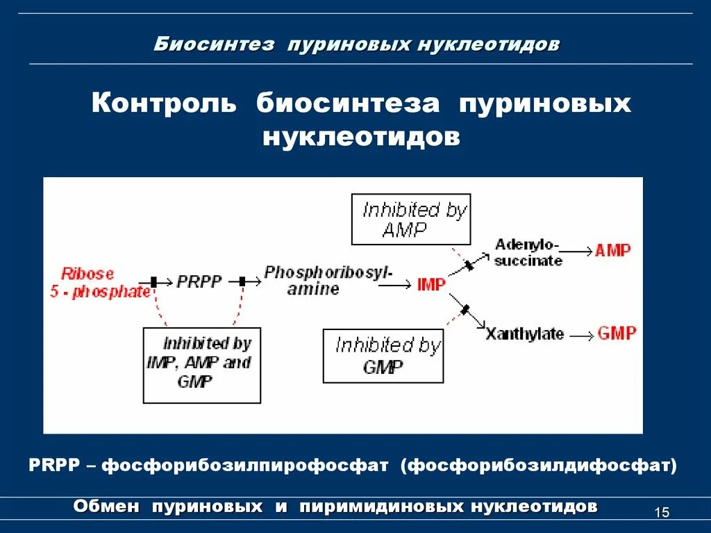 Номер биосинтеза. Биосинтез пуриновых. Синтез пуриновых нуклеотидов. Синтез нуклеотидов биохимия. Биосинтез пиримидиновых нуклеотидов.