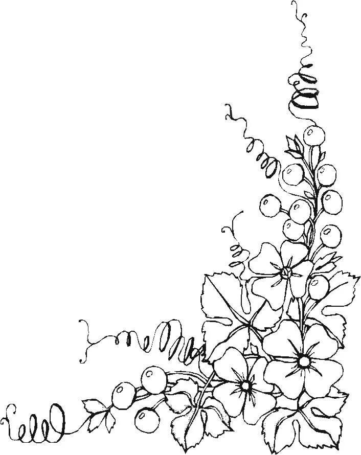 Рисунки в углу листа. Вьющиеся цветы орнамент. Цветочный узор чб. Раскраска цветы вьющиеся. Цветы раскраска угловые.