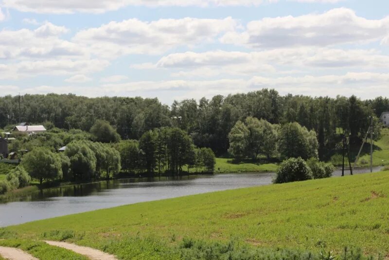 Река Купелинка Видное. Видное,парк у реки Купелинка. Река Купелинка Московская область. Набережная Купелинка Видное. Город видное реки