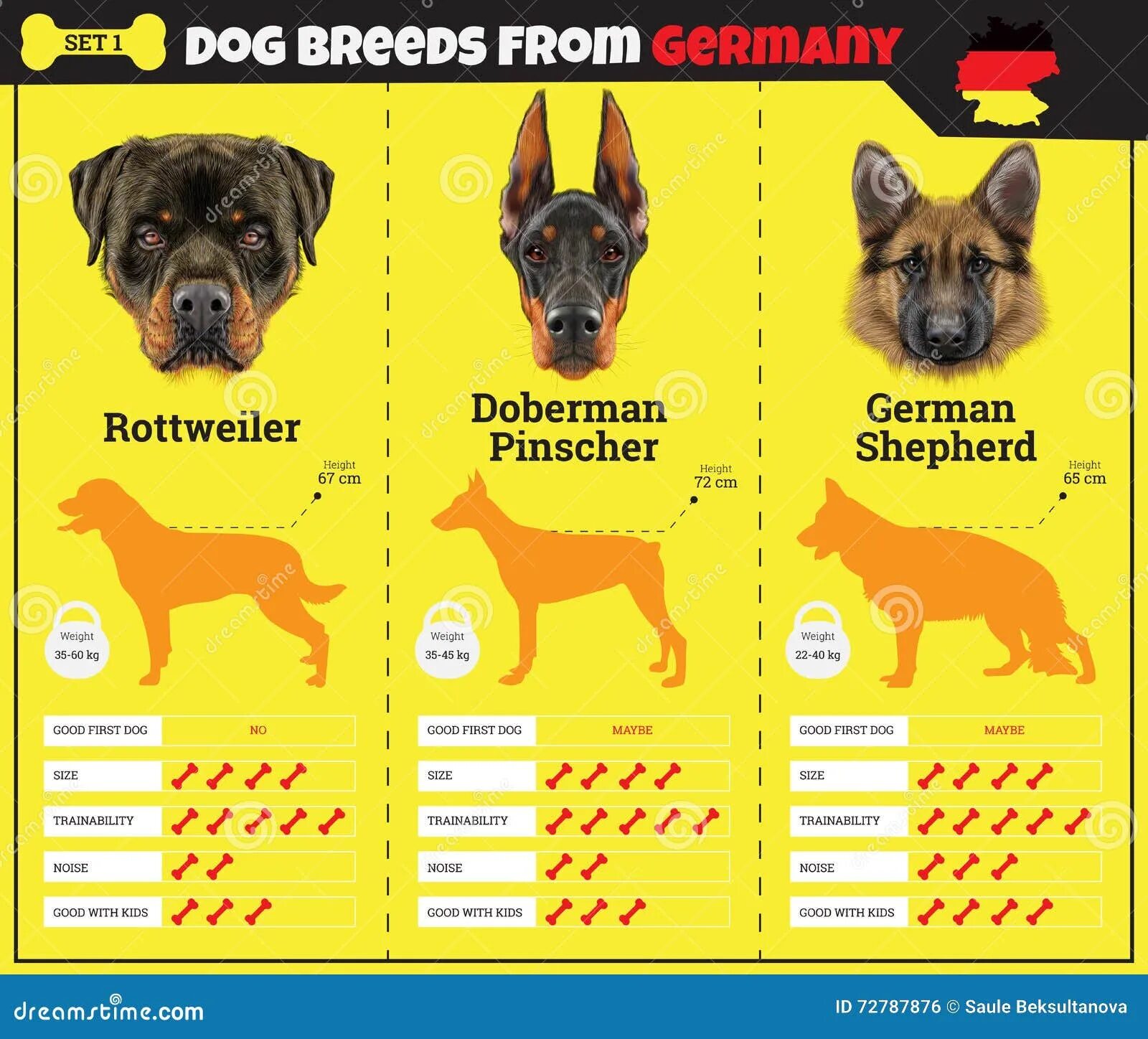 Установить world of dogs. Top dog ведущие. Perpetual pets. Python telegram. Развитие собаки.