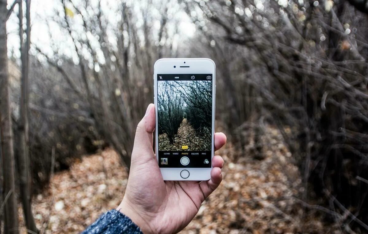 Камера телефона зеленая. Фотографирует на телефон. Смартфон в лесу. Камера 8 МПИКС. Фотографирует на айфон.