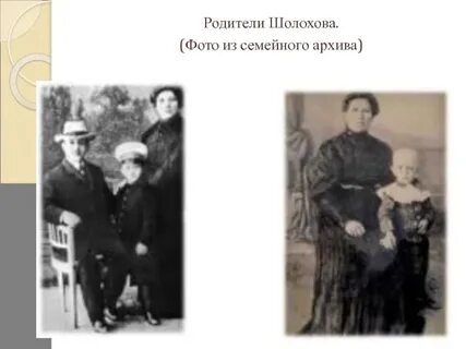 Семья м шолохова