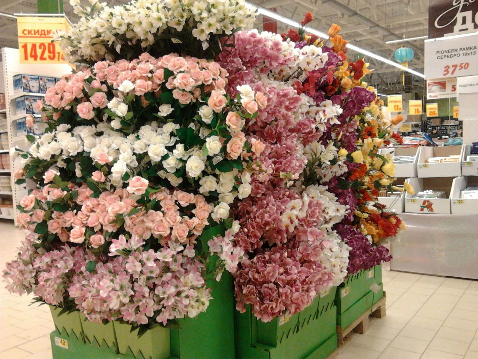 Все цветы по одной цене. Герань Леруа Мерлен. Цветочный магазин в Ашане. Саженцы цветов в Ашане. Магазин цветов саженцы.