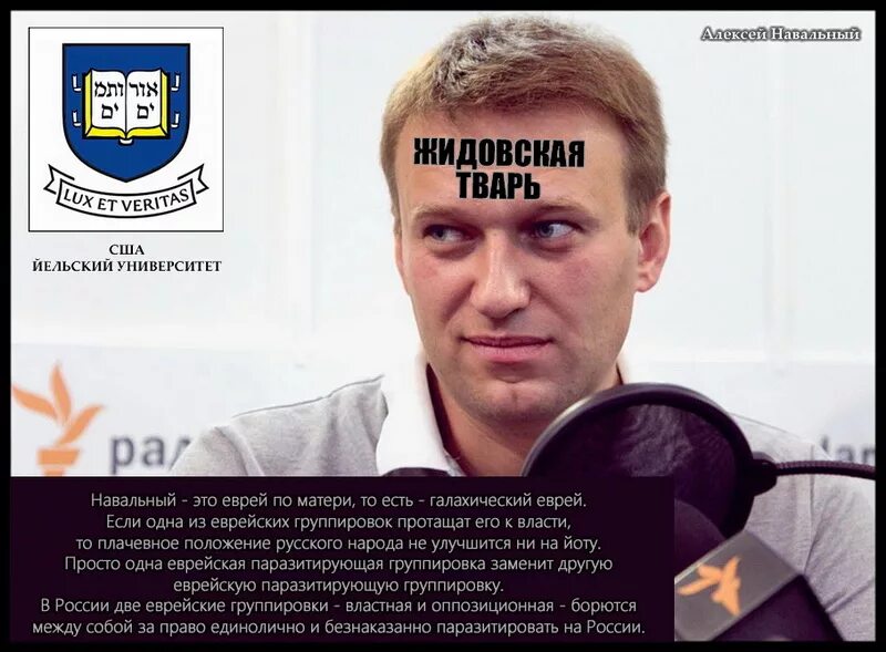 Навальный предатель России. Навальный выпускник Йельского. Навальный мразь