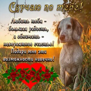 Скучаю без женщин