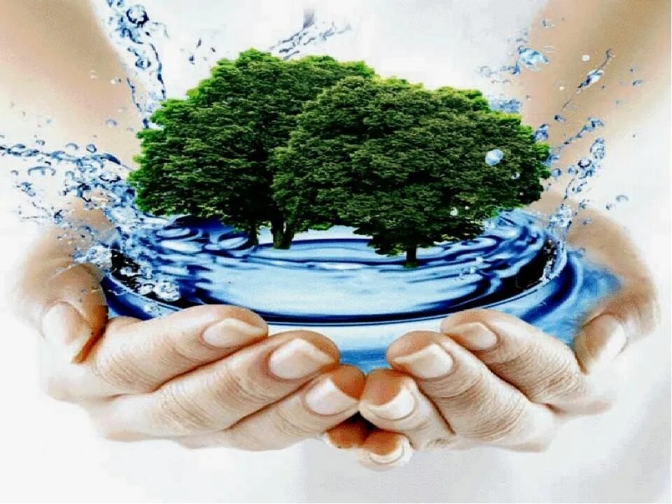 Вода источник жизни. Экология воды. Чистая вода источник жизни. Вода источник жизни на земле. Очистка воды экология