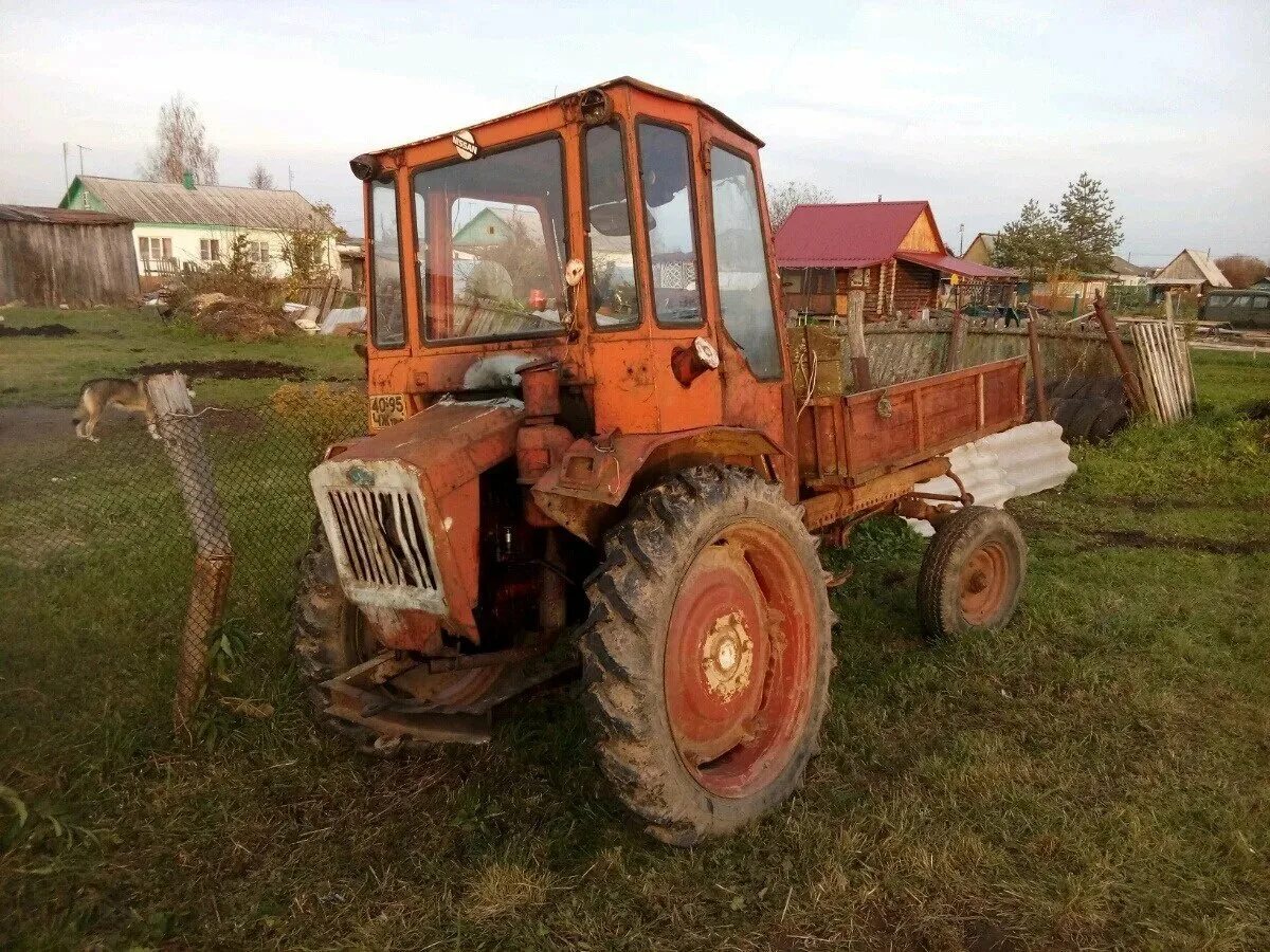 Купить трактор бу в нижегородской области. Трактор т16м. Т-16 (трактор). Трактор МТЗ Т-16. ХТЗ т16.