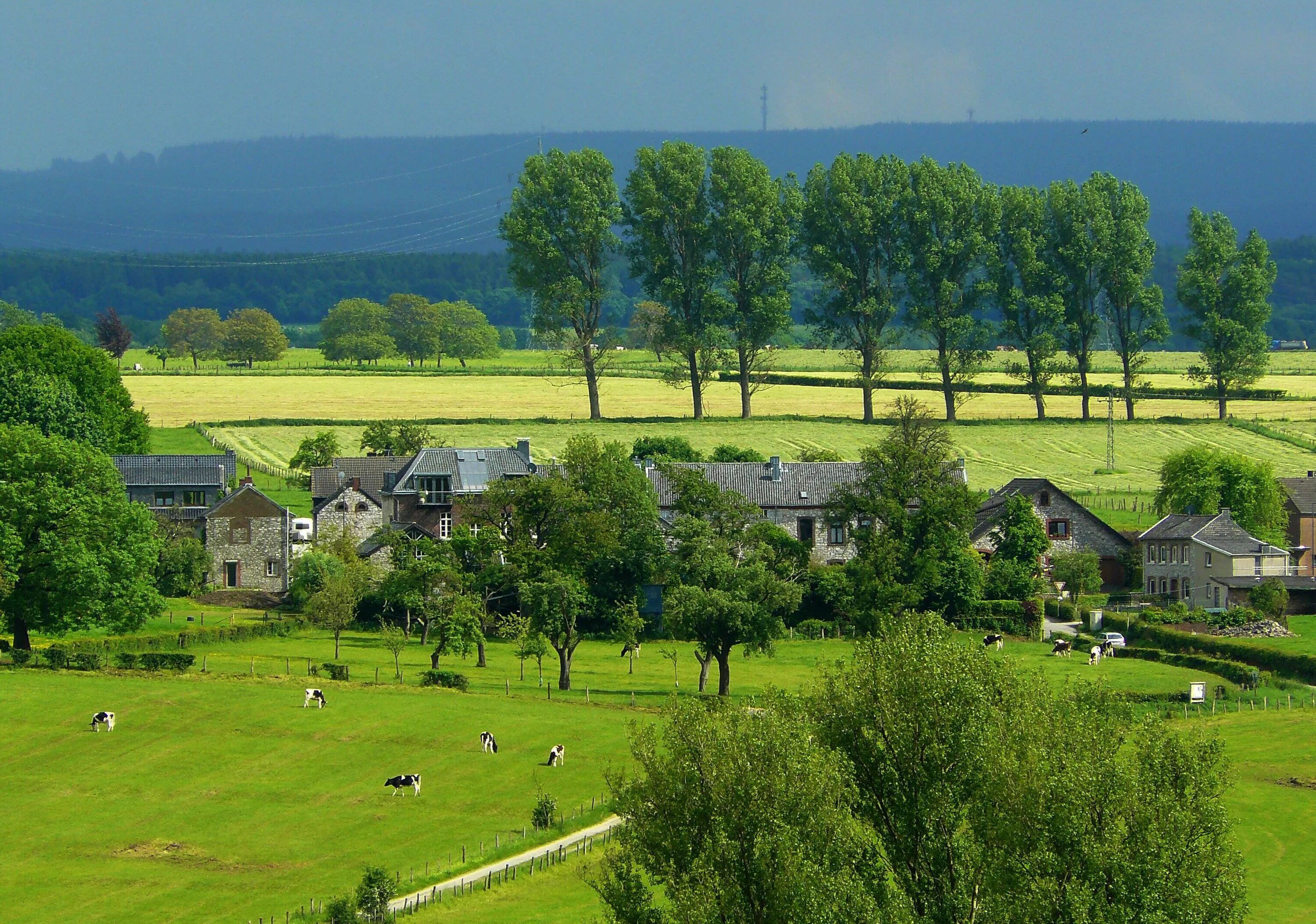 Here village. Деревенская природа. Красивая деревня. Сельская местность. Красивая Сельская местность.