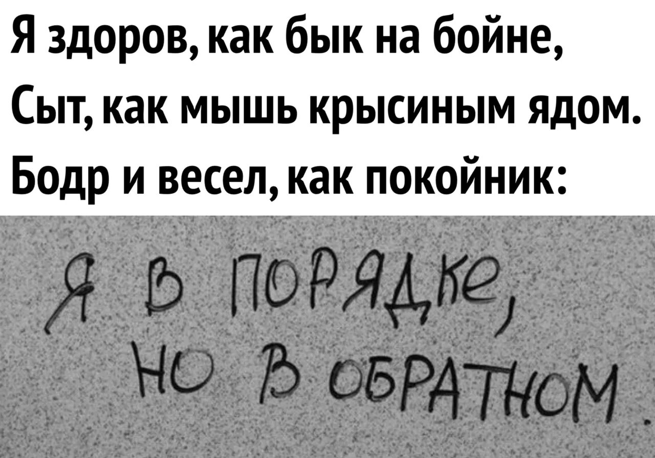 Всегда бодр и весел. Я здоров как бык на бойне сыт как мышь. Здоров как бык. Я здоров как бык на бойне. Я В порядке но в обратном стих.