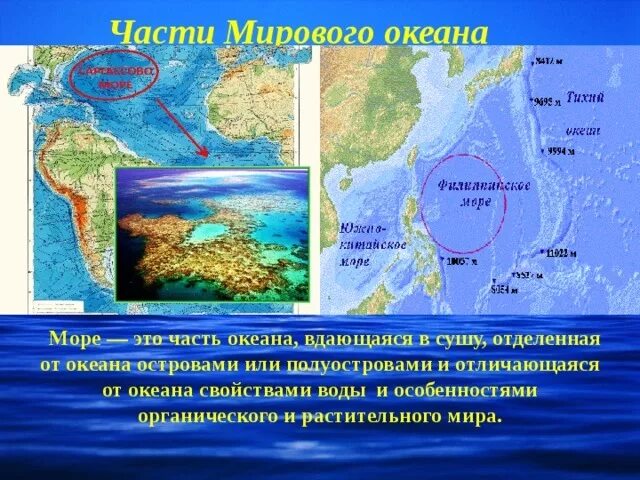 Океан частью которого является. Чем отличается море от океана. моря отличаются от океанов.
