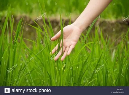 Touch grass