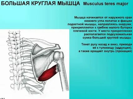 Где располагается круглое