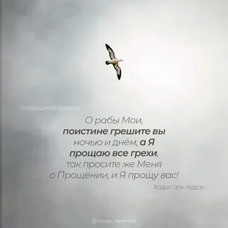 Абу зарр