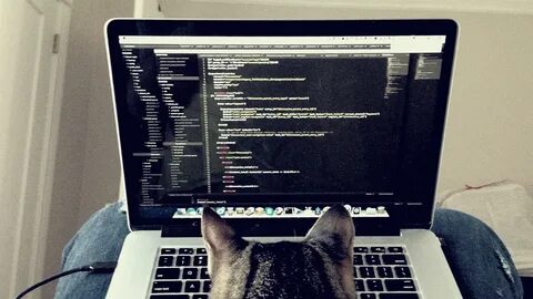 Код в виде кота