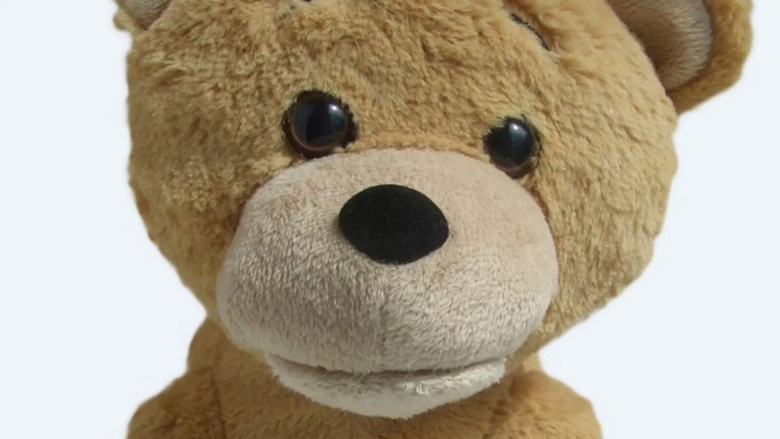 Hello teddy. Медвежонок выглядывает. Большой медведь из китая игрушка. Hello teddy bear. Привет плюшевый.