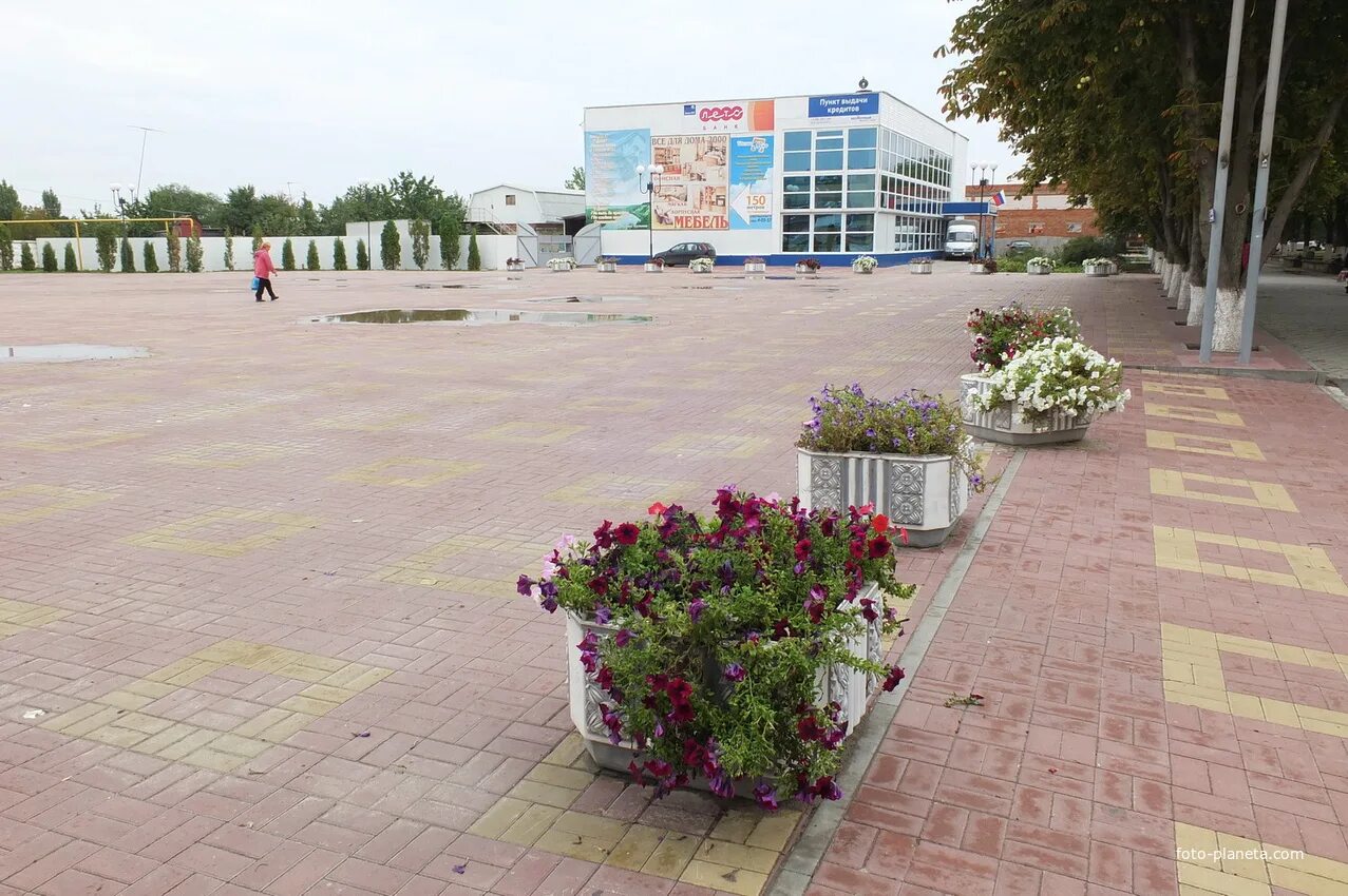 Погода в г семикаракорске. Г Семикаракорск Ростовская область. Город Семикаракорск Ростовской. Сквер Семикаракорск. Центральная площадь Семикаракорск.