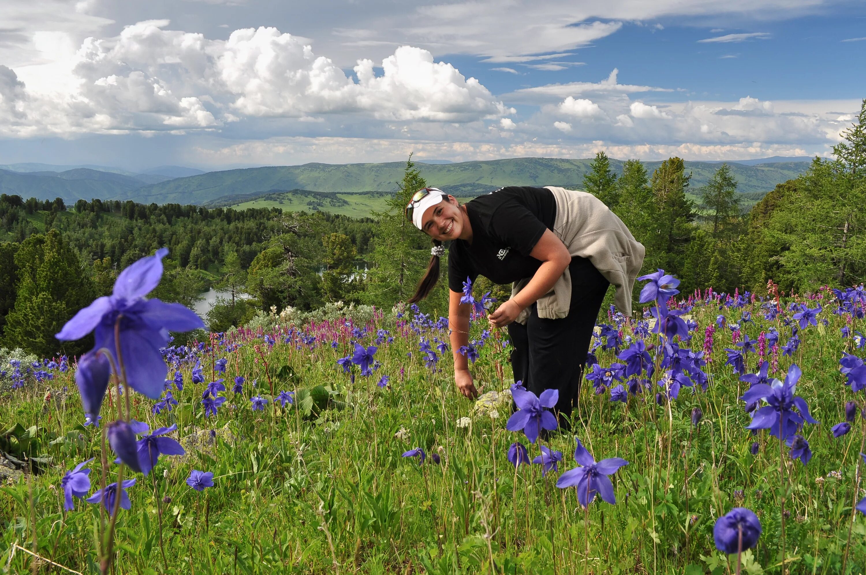 Высушенные лекарственные травы. Засушенные лекарственные растения. Сбор трав. Собирать растения. Собирание лекарственных растений.