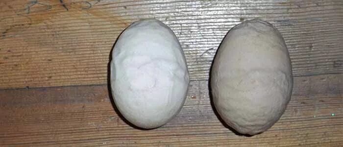 Деформация скорлупы куриного яйца. Яйцо с ребристой скорлупой.