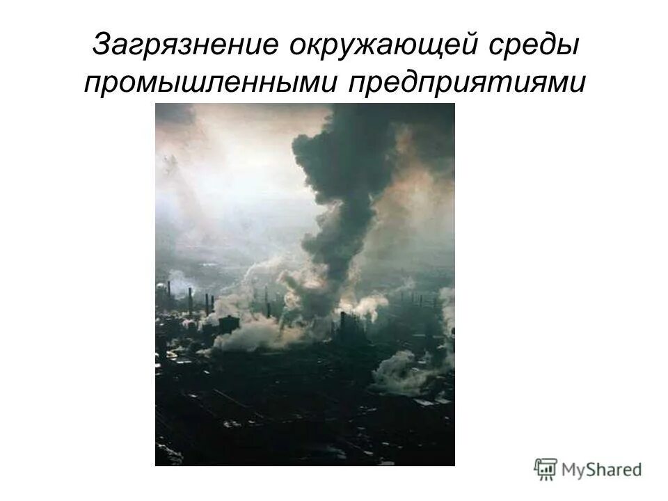 Загрязнения окружающей среды 10 класс. Загрязнение окружающей среды. Бытовое загрязнение окружающей среды. Буклет загрязнение окружающей среды. Влияние тумана на окружающую среду.