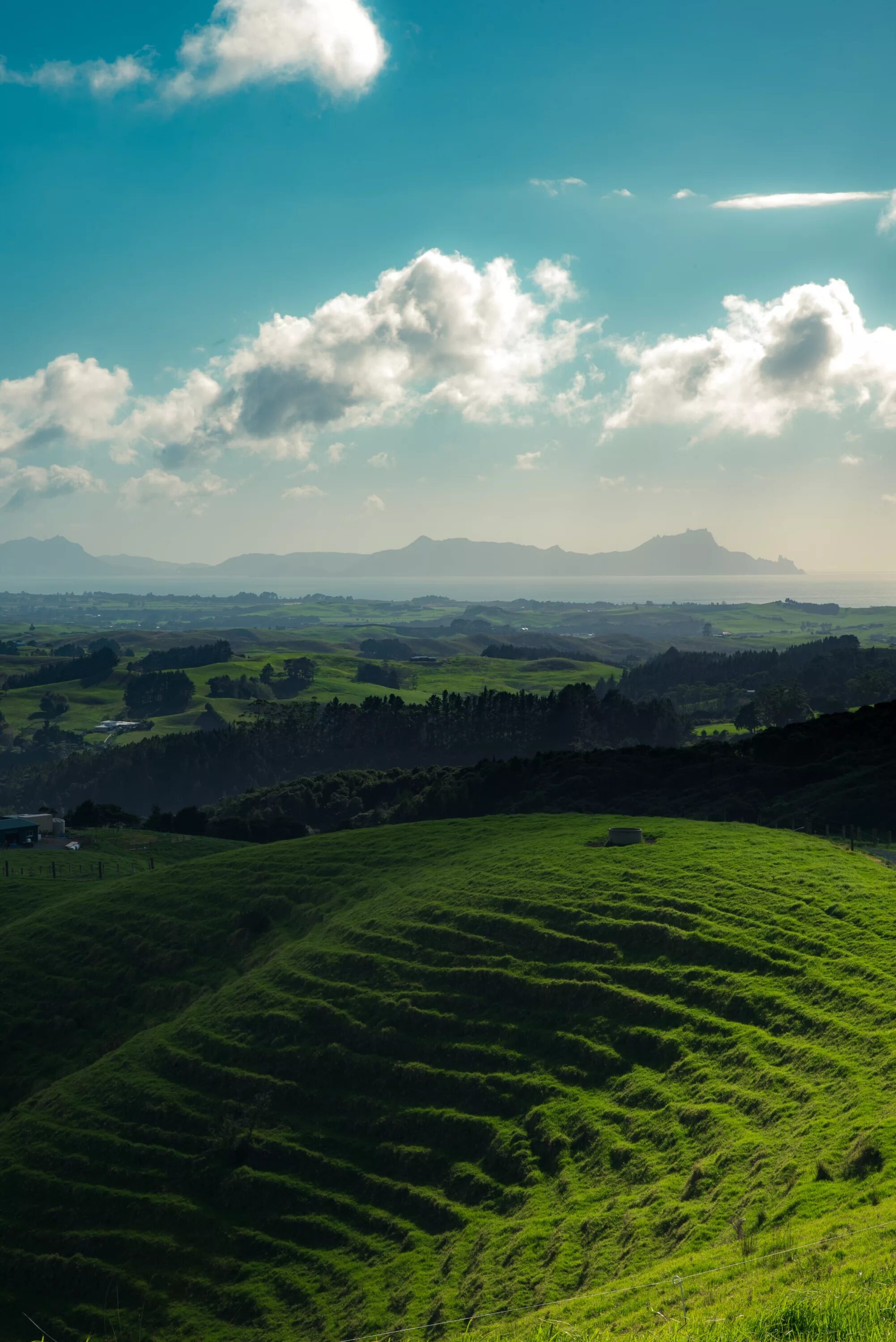 Холмы фото. Холмы Бомбей новая Зеландия. Новая Зеландия зеленые холмы. Холмы Такака, новая Зеландия. Горы холмы.