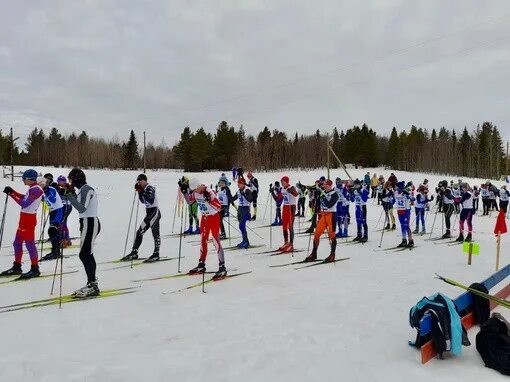 Состязание на острове. Тобол на соревнованиях что это. Карта спортивного ориентирования лосево. Традиционные соревнования. Кросс выбор спортивное ориентирование.