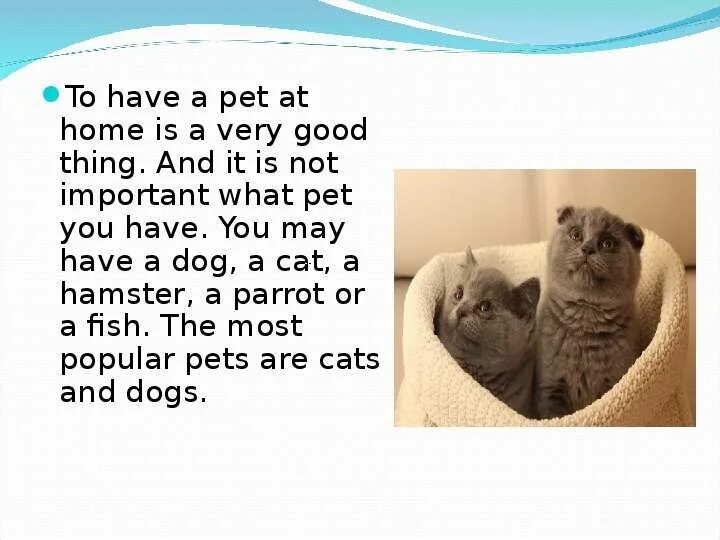 Тема по английскому keeping Pets. Do you have a Pet. Why do people keep Pets. What Pets do you have.