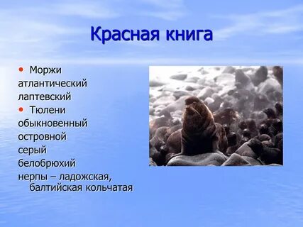 Отрицательная роль млекопитающих