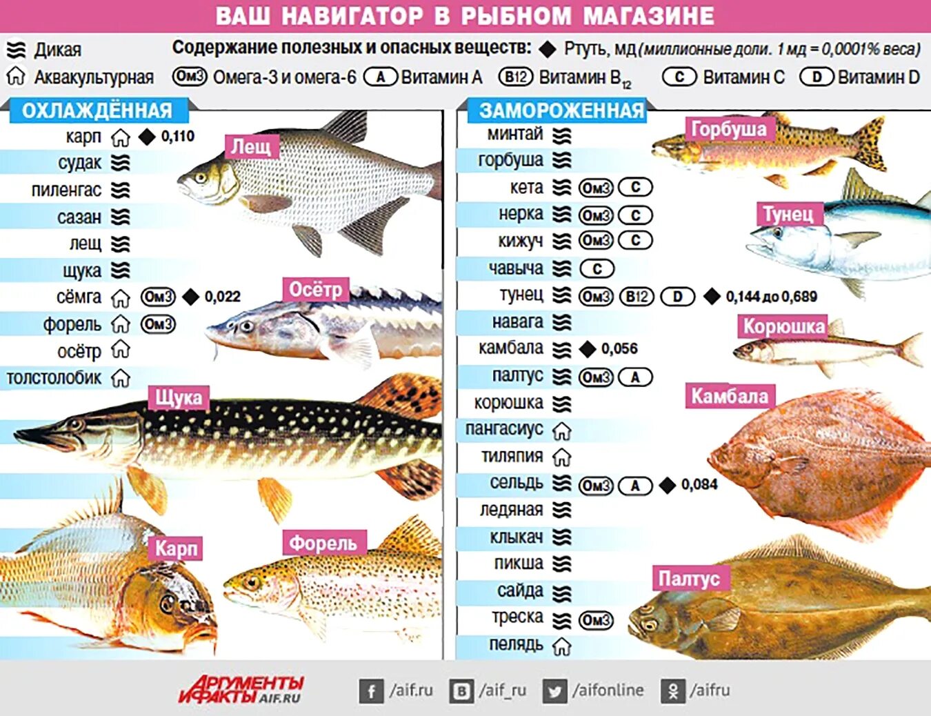Сколько варить щуку. Самые популярные сорта рыбы. Самые полезные сорта рыбы. Содержание витаминов в рыбе. Таблица полезной рыбы.