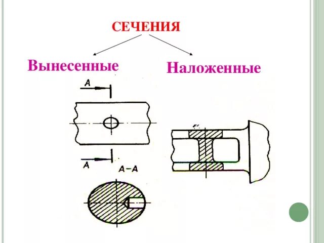 Какие разрезы изображены на рисунке