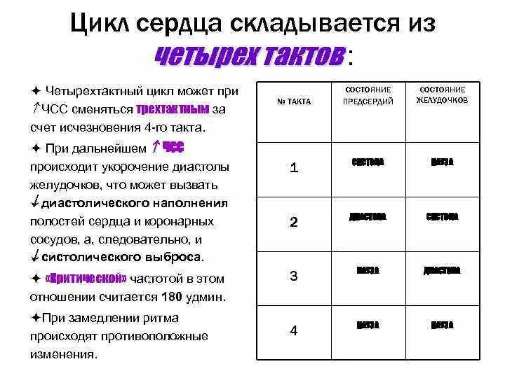 Названия сердечных циклов